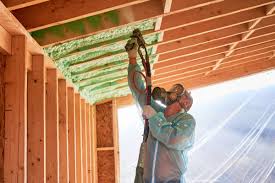 Best Commercial Insulation Services  in Trumansburg, NY