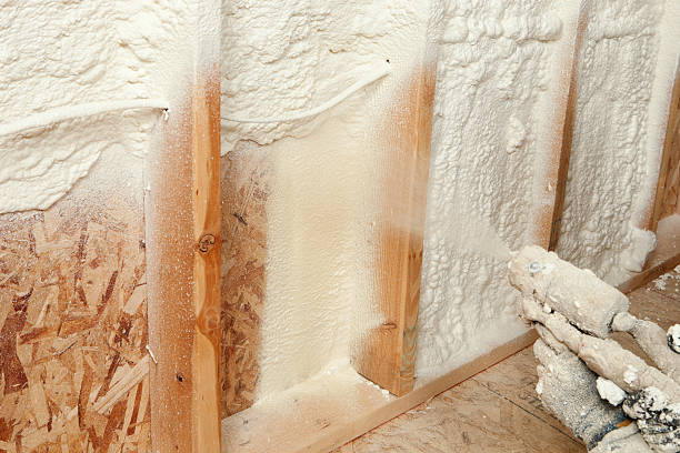 Best Spray Foam Insulation  in Trumansburg, NY